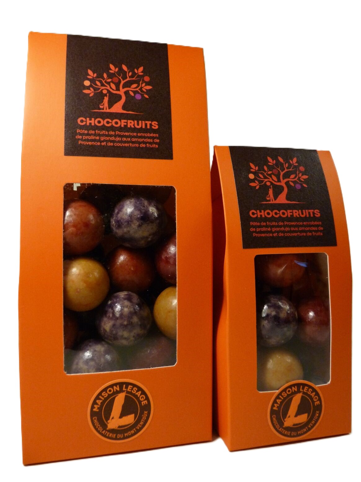 CHOCOFRUITS 125G MAISON LESAGE