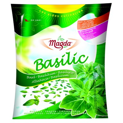 BASILIC MAGDA